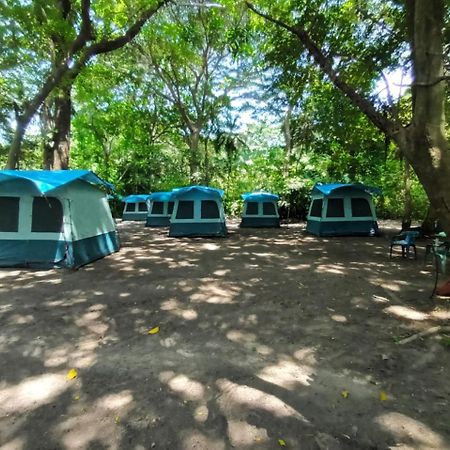 Happy Camping Arrecifes Dentro Del Parque Nacional Natural Tayrona El Coquito Buitenkant foto