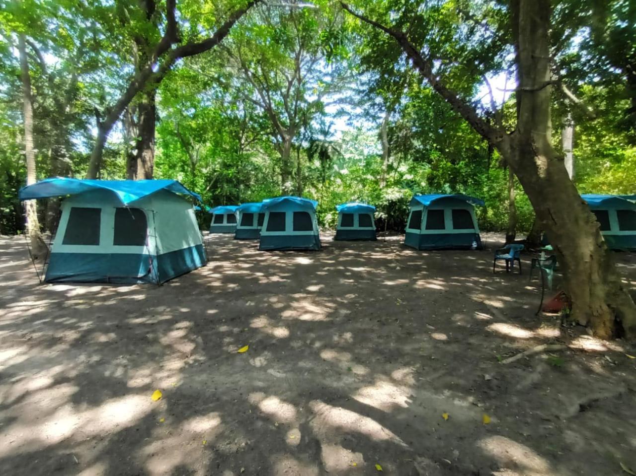 Happy Camping Arrecifes Dentro Del Parque Nacional Natural Tayrona El Coquito Buitenkant foto
