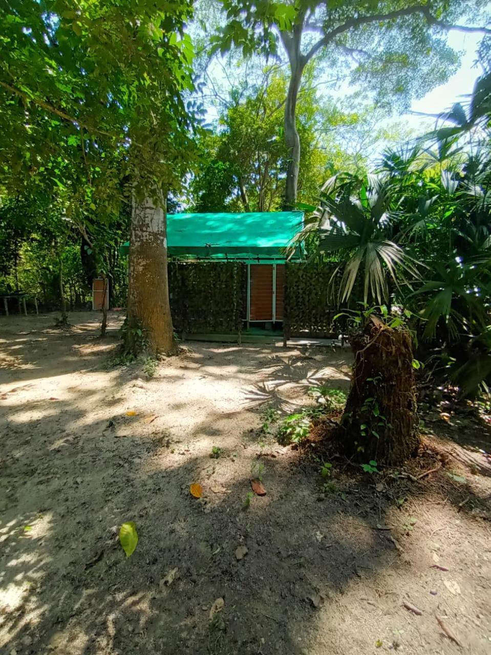 Happy Camping Arrecifes Dentro Del Parque Nacional Natural Tayrona El Coquito Buitenkant foto